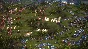 ⭐️ Cossacks 3 Steam Gift ✅ AUTO 🚛 ALL REGIONS RU CIS
