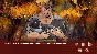 Беги, котик! - Фурри визуальная новелла 💎 STEAM GIFT