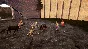 Castle Guardian STEAM KEY REGION FREE GLOBAL ROW