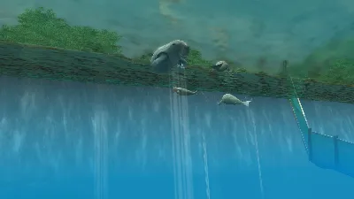 Wildlife Park 3 - Amazonas DLC * STEAM RU ⚡ АВТО 💳0%