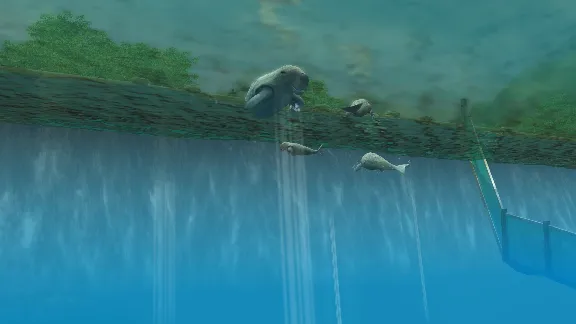 Wildlife Park 3 - Amazonas DLC * STEAM RU ⚡ АВТО 💳0%