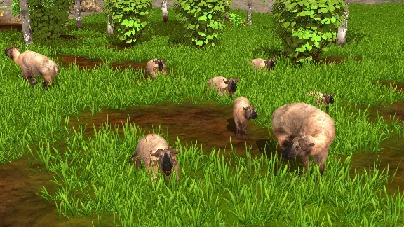 Wildlife Park 3 - Asia DLC * STEAM RU ⚡ AUTO 💳0%