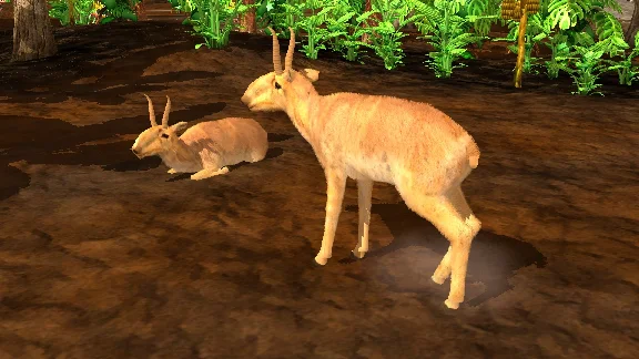 Wildlife Park 3 - Asia DLC * STEAM RU ⚡ AUTO 💳0%