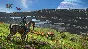 Avatar: Frontiers of Pandora Ultimate Edition | Ubisoft