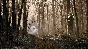 The Talos Principle 2 * STEAM RU ⚡ AUTO 💳0%