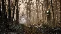 The Talos Principle 2⚡AUTODELIVERY Steam Russia