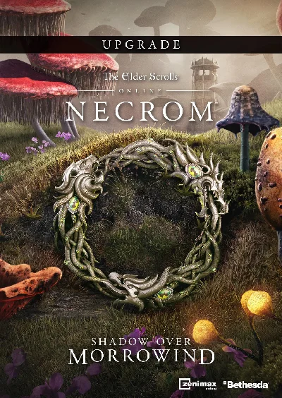 Elder Scrolls Online Upgrade: Necrom (Steam) RU/Other