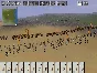 🌼 Medieval: Total War Collection 🌃 Steam Key 🌃Global
