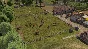 🌚 Banished 🍾 Steam Key 🍳 Worldwide
