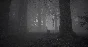 IMAGO: Beyond the Nightmares 💎 АВТОДОСТАВКА STEAM GIFT