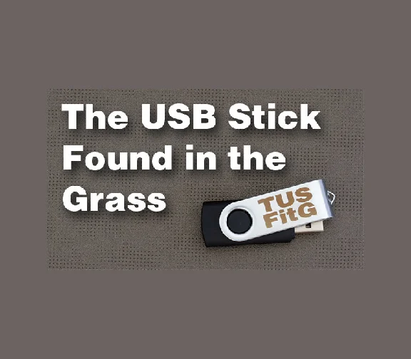 🌺 The USB Stick Found in the Grass 🎯 Steam Ключ