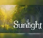 🥄 Sunlight 🧁 Steam Key 🥪 Worldwide
