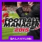 🟣 Football Manager 2015 - Steam Offline 🎮