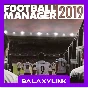 🟣 Football Manager 2019 - Steam Оффлайн 🎮