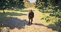 Alvara STEAM KEY REGION FREE GLOBAL ROW