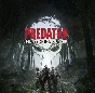 Predator: Hunting Grounds (STEAM key) Turkey + Gift