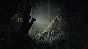 🚀Alan Wake 2 (Xbox)