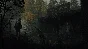 🚀Alan Wake 2 (Xbox)