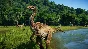 ❗JURASSIC WORLD EVOLUTION❗XBOX ONE/X|S🔑KEY❗