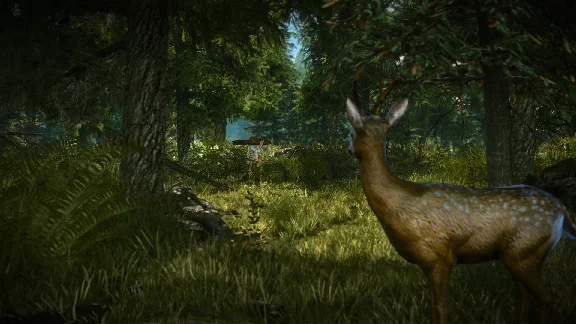 The Witcher 2: Assassins of Kings Enhanced Edition Soun