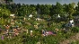 Anno 1800™ National Park Pack DLC STEAM•RU ⚡️AUTO 💳0%