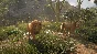 theHunter: Call of the Wild™ - Vurhonga Savanna DLC