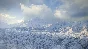 theHunter: Call of the Wild™ - Medved-Taiga DLC