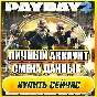 🔥 PAYDAY 2 ONLINE ⭐PERSONAL ACCOUNT + MAIL (GFN Geforc