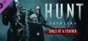 Hunt: Showdown 1896  Souls of a Feather 💎 DLC STEAM RU