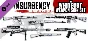 Insurgency: Sandstorm - Whiteout Weapon Skin Set DLC
