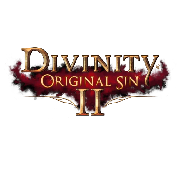 Divinity: Original Sin 2 | Offline | Steam | Forever