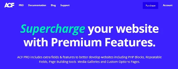 Advanced Custom Fields Pro [6.2.4] Russification plugin
