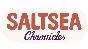 🔥 Saltsea Chronicles | Steam РУ+UA+KZ+СНГ🔥