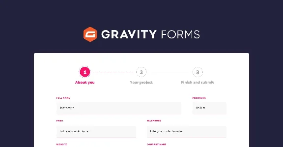 Gravity Forms [v2.8.0] - Russification plugin 💜🔥