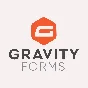 Gravity Forms [v2.8.0] - Russification plugin 💜🔥
