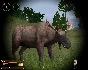 Hunting Unlimited 2010 💎 STEAM GIFT RUSSIA