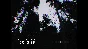 DON´T SCREAM 🚀AUTO💳0% RU/WW