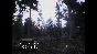 DON´T SCREAM - STEAM GIFT RUSSIA