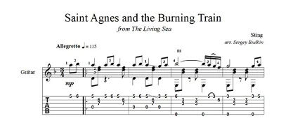 Saint Agnes and the Burning Train (Sting) guitar cover