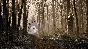 ✅ The Talos Principle 2 Xbox Series X|S activation