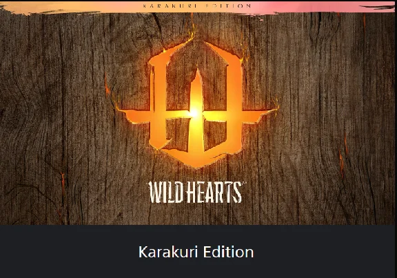 💥WILD HEARTS / ДИКИЕ СЕРДЦА 🔵 PS5 🔴 Турция 🔴