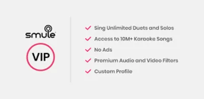 🟣Smule VIP | Subscription 1/12 months. to your account