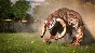 Serious Sam 4 XBOX