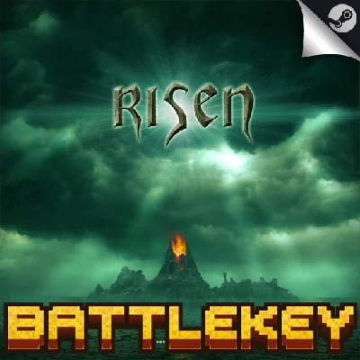 ✅Risen⚡AUTODELIVERY 24/7⭐️STEAM RU💳0%