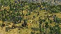 ✅Stronghold Crusader 2: The Jackal & The Khan (and)