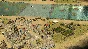 ✅Stronghold Crusader 2: The Jackal & The Khan (and)