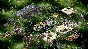 Space Colony: Steam Edition (Steam key / Region Free)