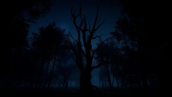 Slender: The Arrival XBOX SERIES X|S [ Code 🔑 Key ]