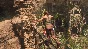 🔑 Key Rise of the Tomb Raider 20 Yea Xbox One & Series