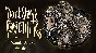 Don´t Starve Together: Wanda Deluxe Chest DLC